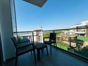 comfort villa sapanca