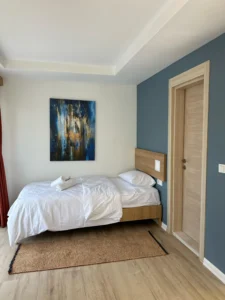 sapanca günlük kiralık villa