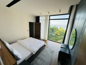 sapanca kiralık villa