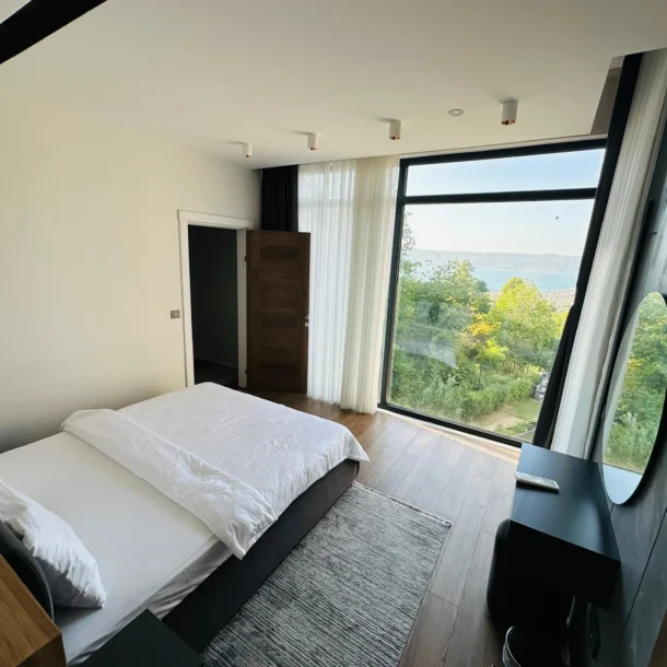 sapanca kiralık villa