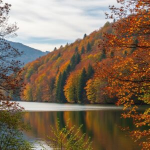 Sapanca Kiralık Villa - Özel Havuzlu Konfor