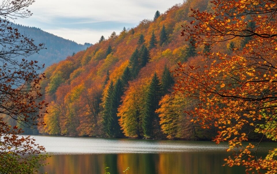 Sapanca Kiralık Villa - Özel Havuzlu Konfor