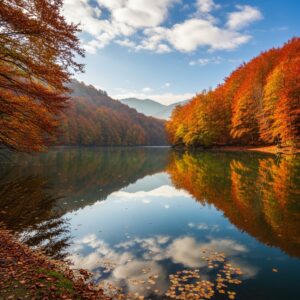 Sapanca Kiralık Villa - Sıcak Havuz ve Rahatlatıcı Tatil