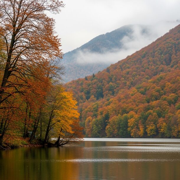 Sapanca Kiralık Villa - Uygun Fiyatlarla