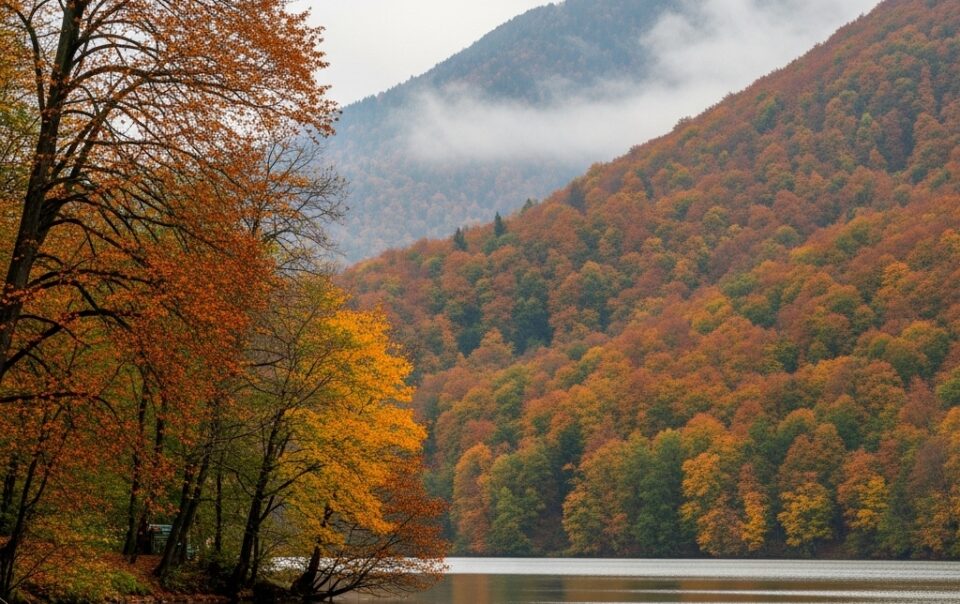 Sapanca Kiralık Villa - Uygun Fiyatlarla